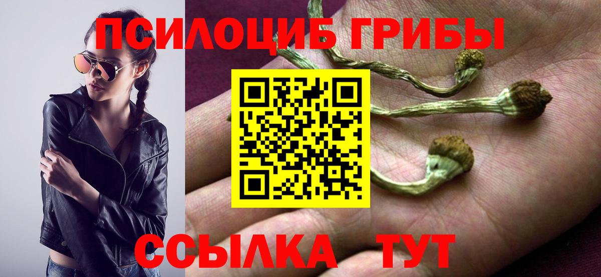 Первоуральск  Галлюциногенные грибы мухоморы  Вход с VPN 
